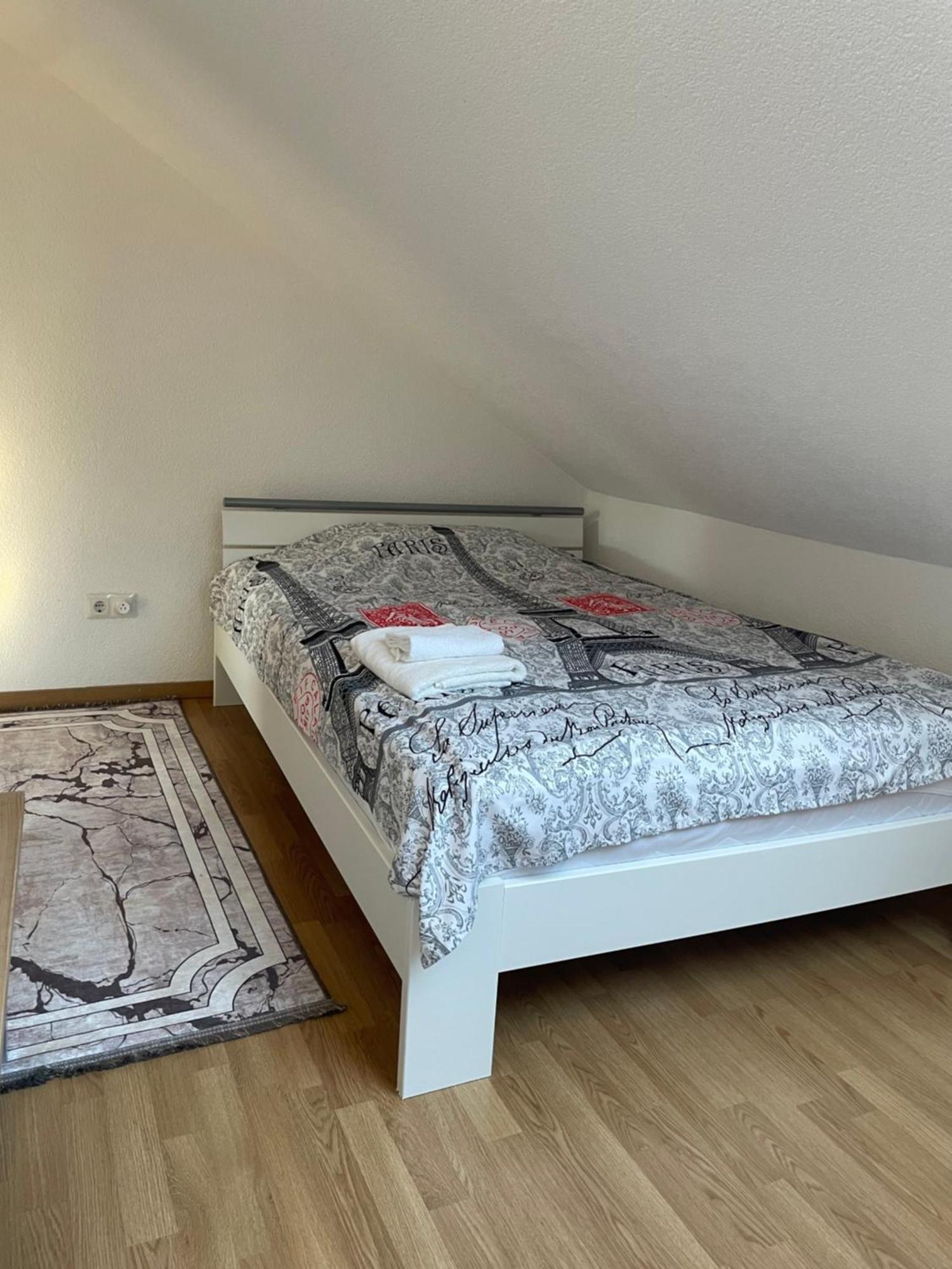 Stilvolle Wohnung Im Stadtzentrum Kaiserslautern Exteriör bild